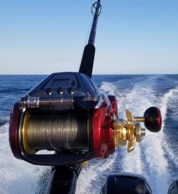 Fishing Rod