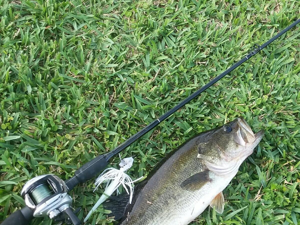 Rock Solid Custom Rods - Light Conventional Rods